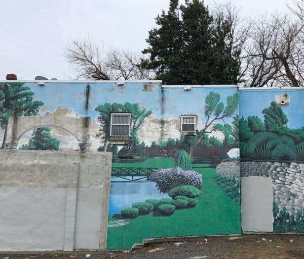 Half a Garden